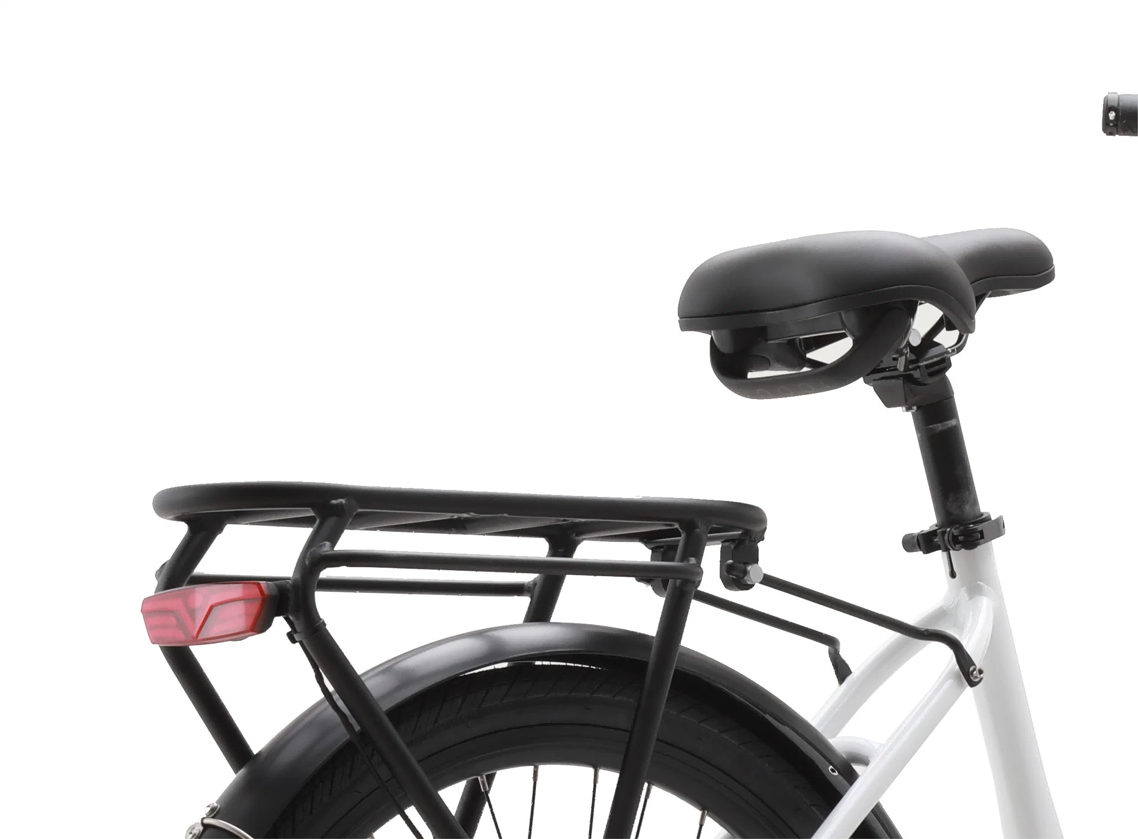 Ep 01f Middle Drive Electric Bike for Sale