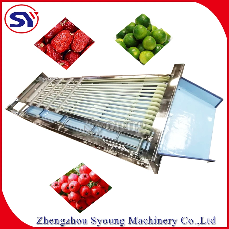 Jujube Date Longan Track Fruit Sorting Grading Machine