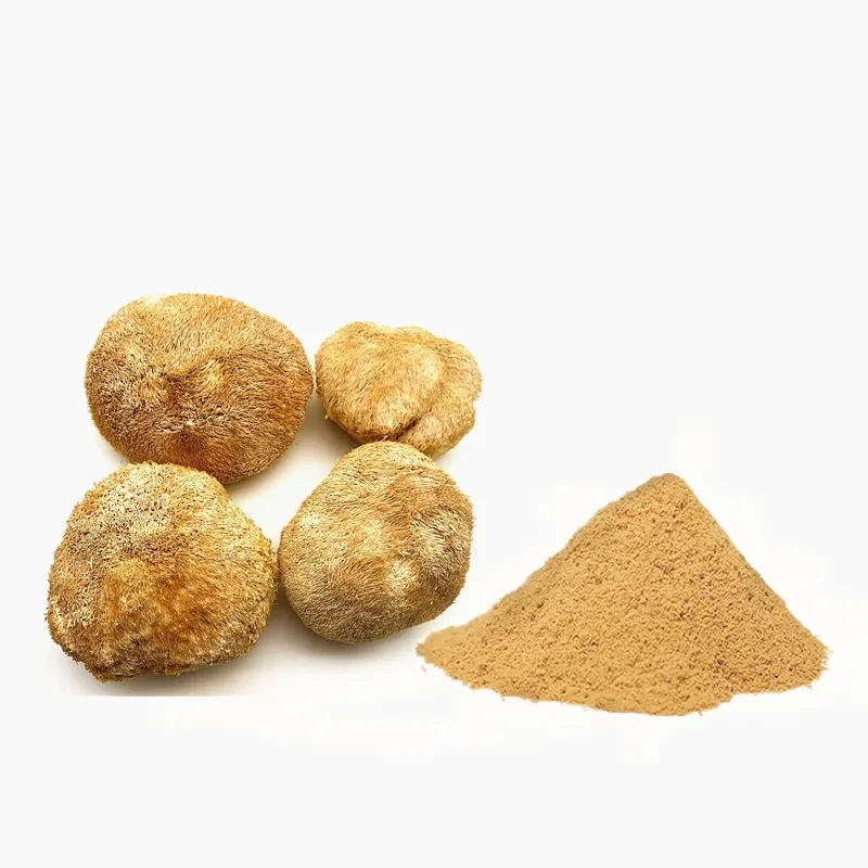 Organic Hericium Erinaceus Mushroom Extract The Rare Edible Dried Lions Mane Mushroom