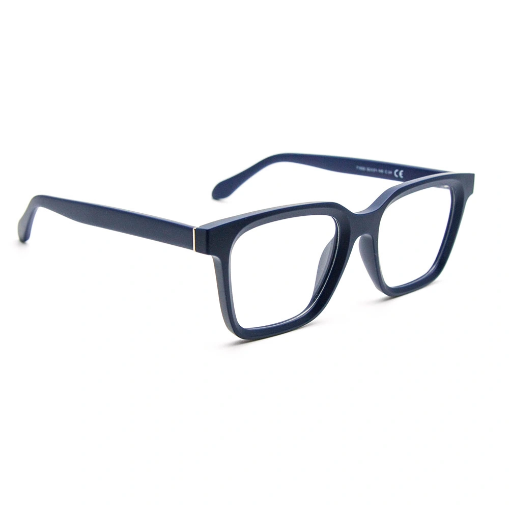 Wholesale/Supplier Promotional Acetate Eyeglasses Frames Optical Customer Eyewear