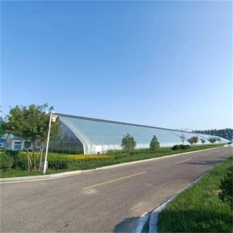 Hot Sale Vegetable Garden Cultivation Hydroponic System Thin Film Greenhouse