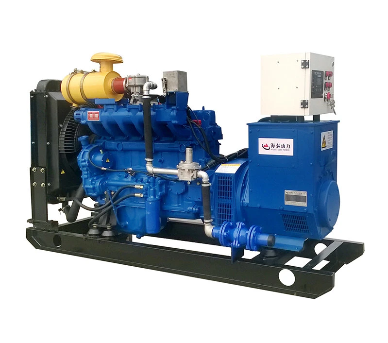 Electricity Biogas 10kw Generator China Gas Engine for Sale