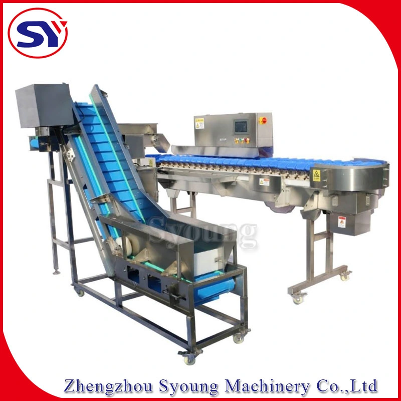 Multi-Level Seafood Sea Cucumber Weight Size Grading Classify Machine for Aquatic Industry