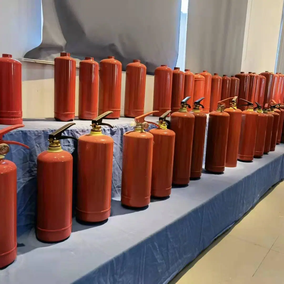 Brunei Darussalam Mode Prompt Goods Powder Fire Extinguisher