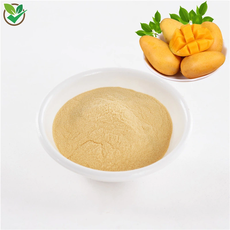 Mango Powder Food Grade Mango Extract Powder Fruit Powder Mango