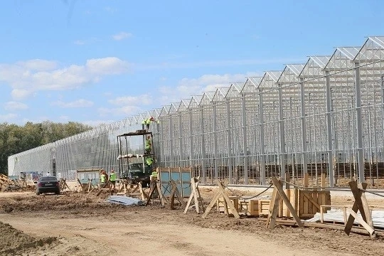 Agriculture Multi Span Glass Green House for Vegetable/Flower/Fruits/Hydroponic Systems/Automatic Irrigation System