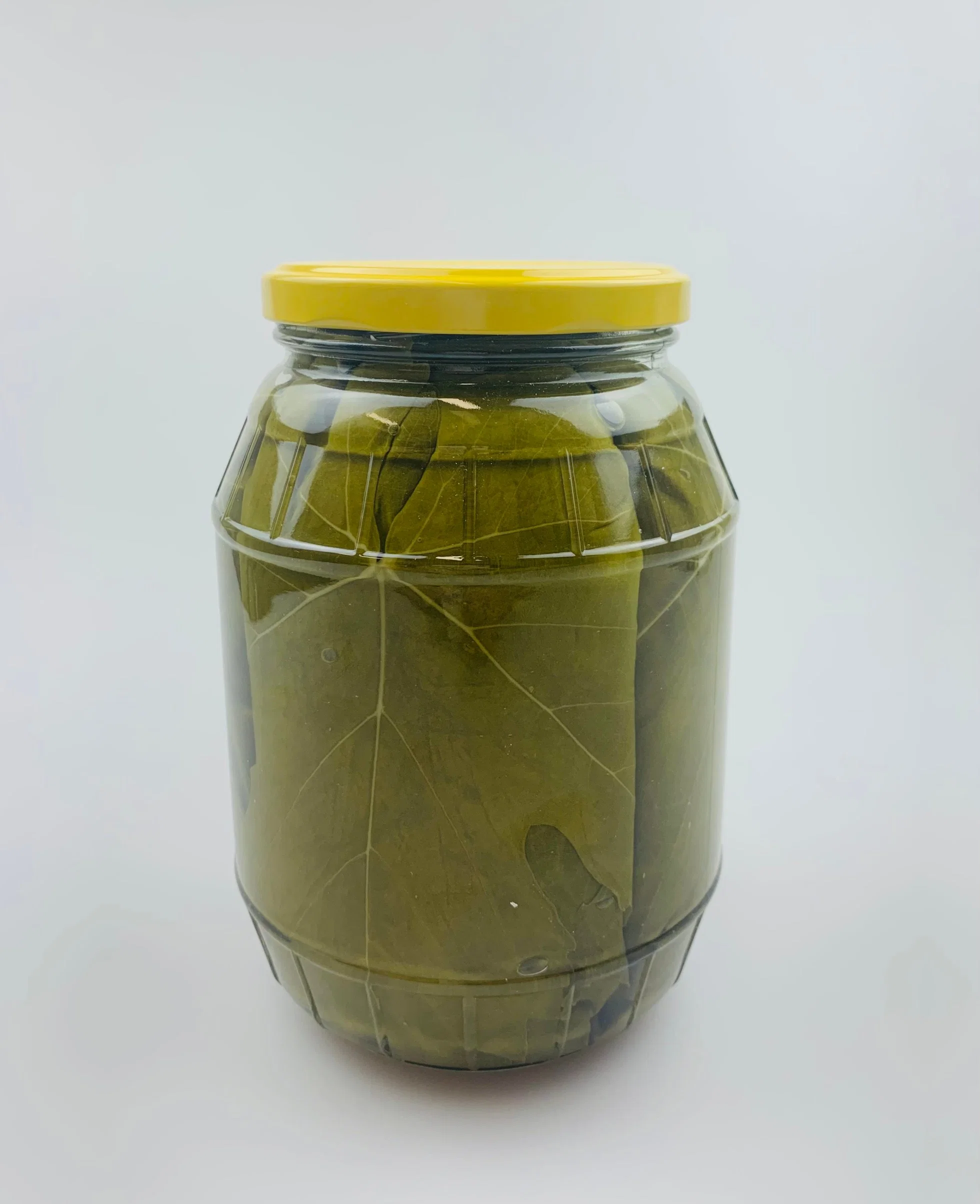 Good Quality Canned Grape Leaves in Brine Jars Fresh Stuffed Vineyard Leaves