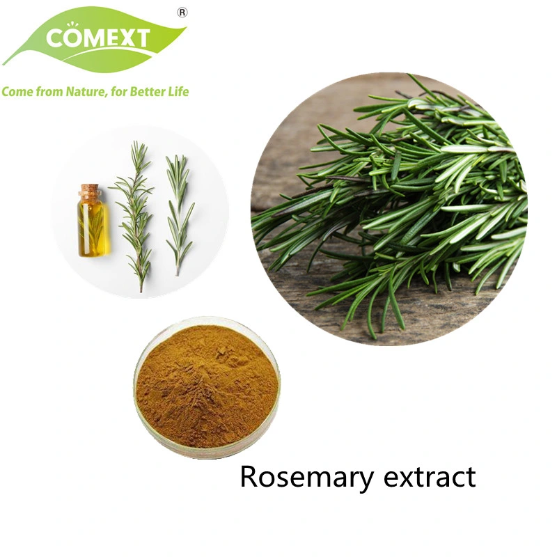 Comext China Manufacturer Wholesale Food Grade Natural Plant Herb Extract Carnosic Acid Powder Inventory USA Warehouse Rosemary Extract