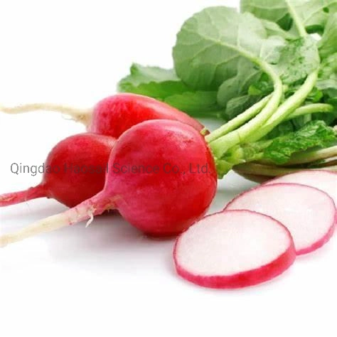 Hot Sell Factory Direct E50 Natural Purple Red Pigment Radish Red