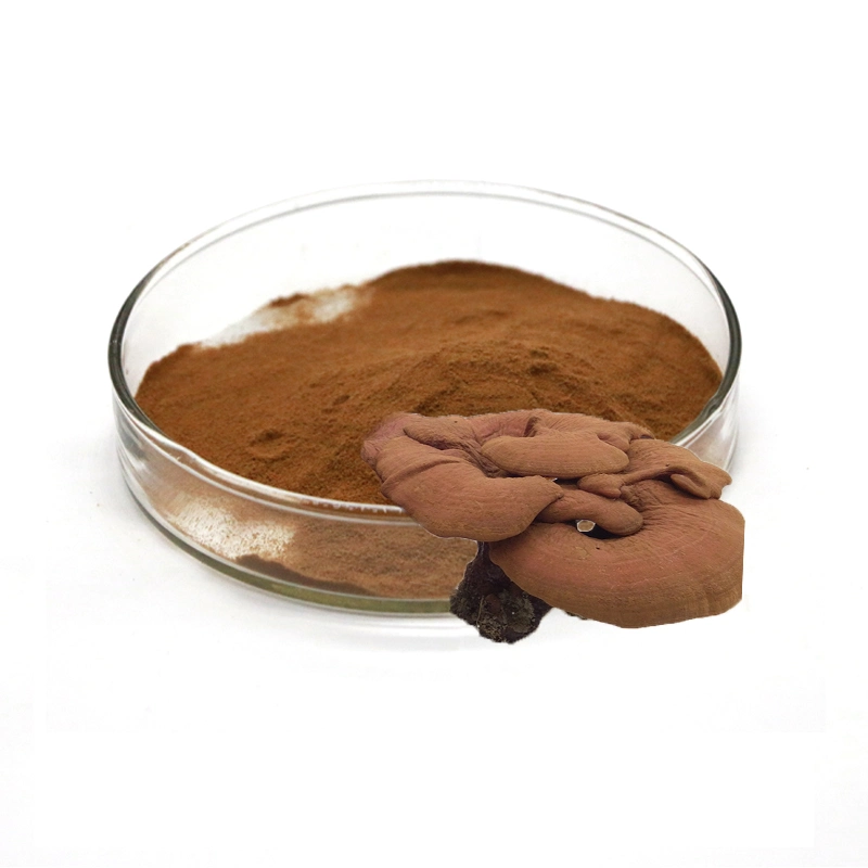 Organic Ganoderma Lucidum Dual Extract Powder, Triterpene