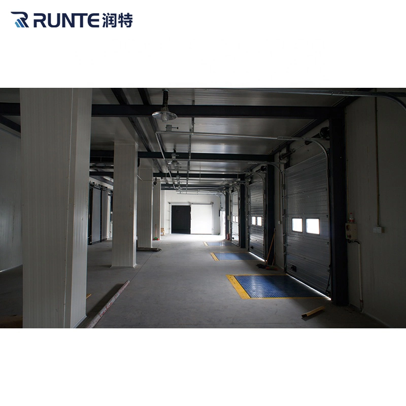 Runte Brand Condensing Units Blast Freezer -30 Degree ~+5 Degree Frozen Meat Fish Vegetables Fruit Cold Storage Room