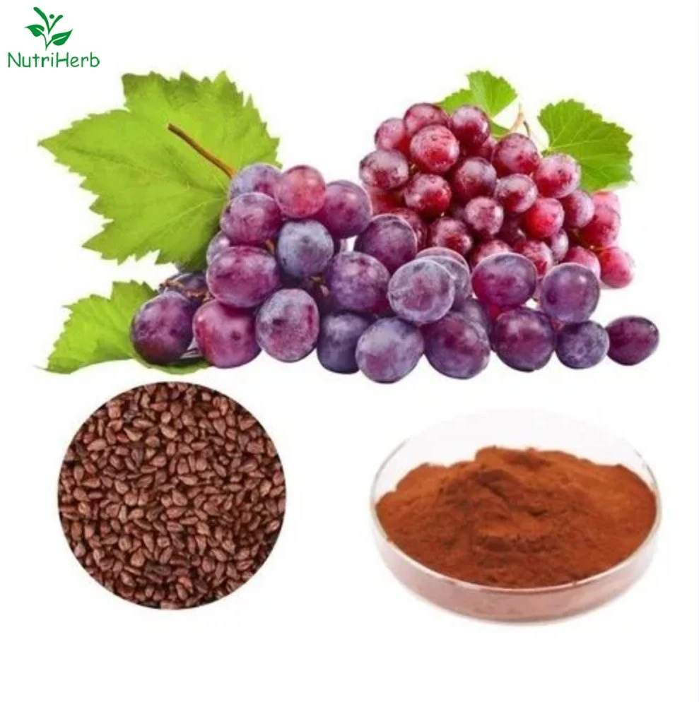Factory Supply Antioxidant Power of Grape Seed Extract OPC Powder