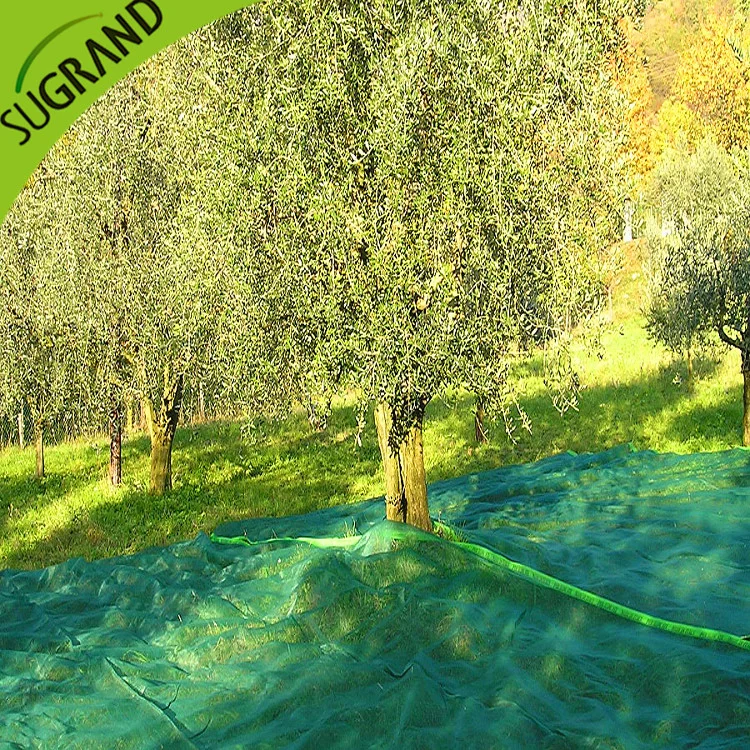 2018 Best Sale HDPE Olive Harvest Nets/Olive Netting Manufacturer for Italy/Greece/Tunis Markets