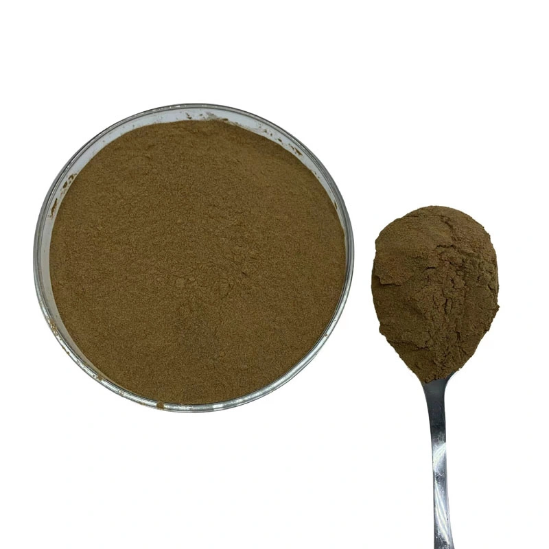 100% Pure Natural Boletus Edulis Extract 10: 1 Porcini Mushroom Extract Powder