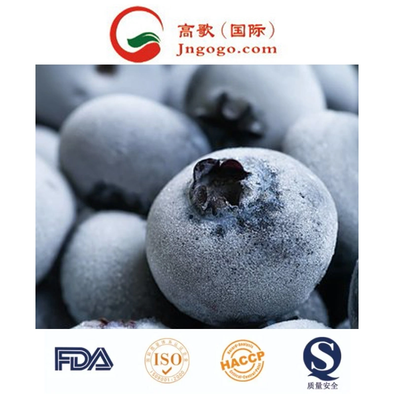 New Crops Frozen Blueberry IQF