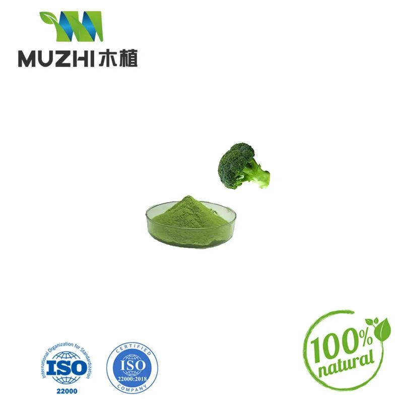 High Quality Broccoli Sprout Extract Organic Sulforaphane Broccoli Sprout