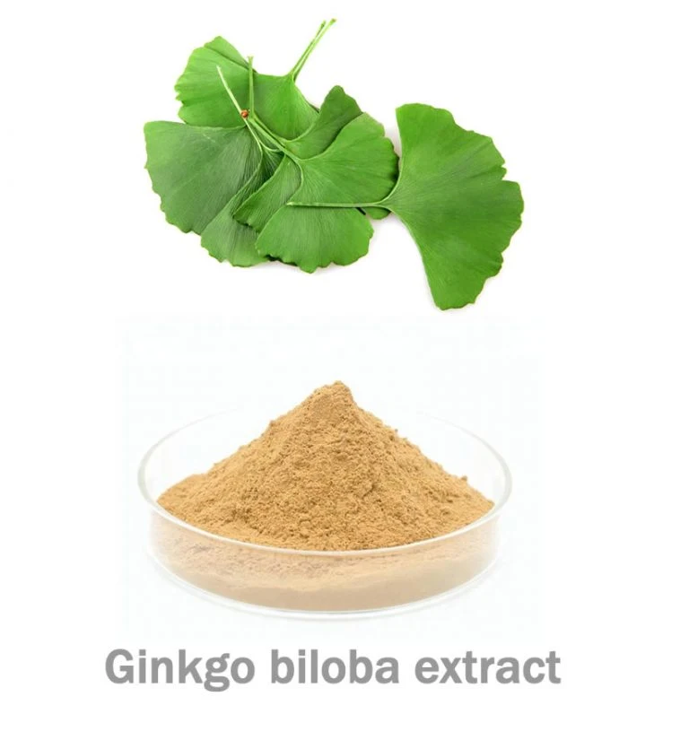Natürliche Ginkgo Biloba Extrakt Senken Sie Den Blutdruck