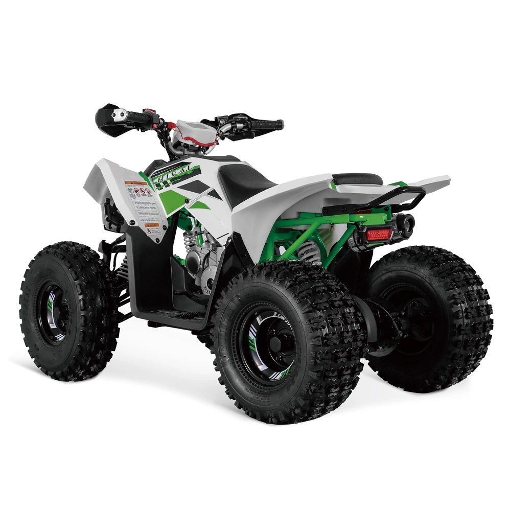 Automatic Chain Drive Quad Bike Sport Style 125cc ATV