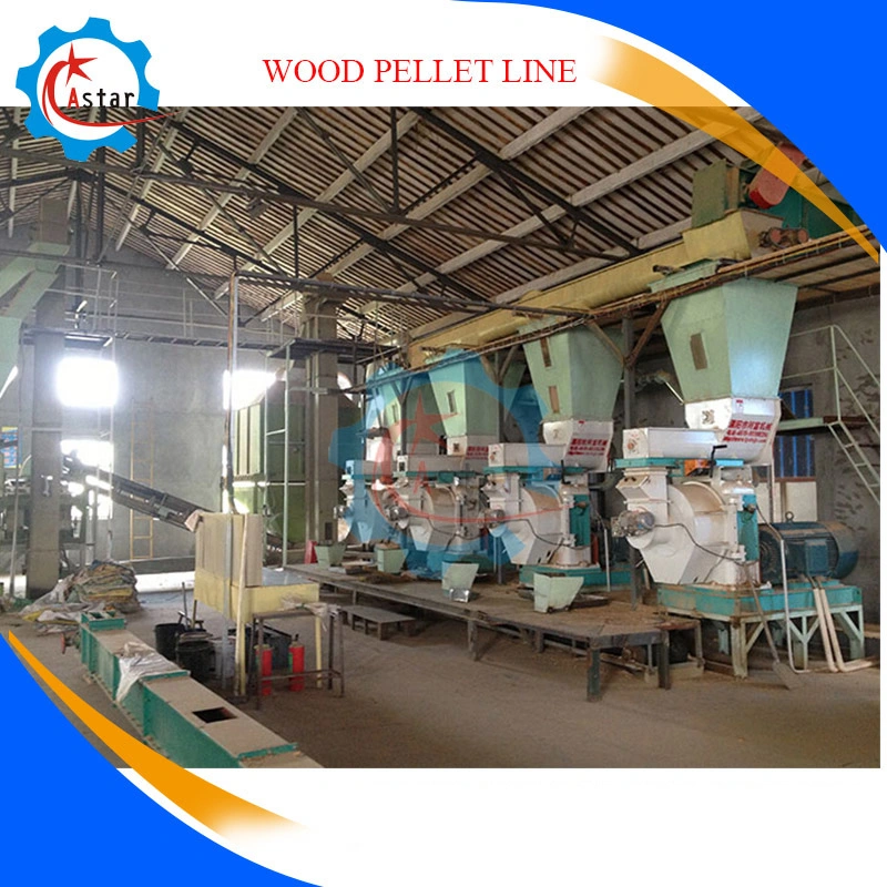 Waste Tree Wood Biomass Sawdust Rice Husk Grass Pellet Mill Equipment