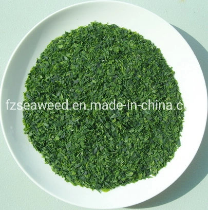 High quality/High cost performance  Sea Vegetable Dried Seaweed Alga Ulva Green Nori Chips