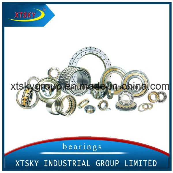 Xtsky Good Quality Auto Clutch Release Bearing (CT1310)