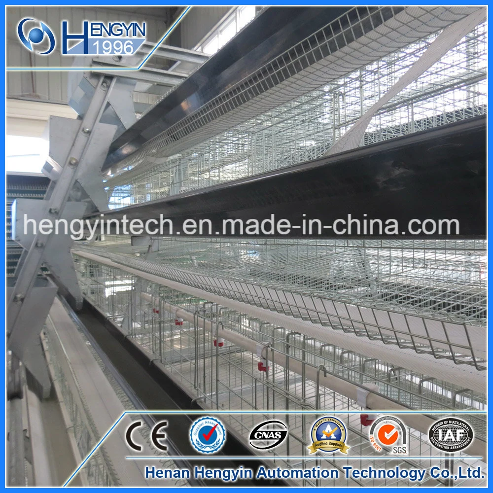 Automatic Feeding System Poultry Farm Layer Chicken Cage for Sale