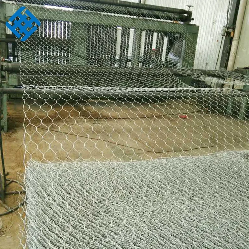 China Cheap Galvanized Hexagonal Wire Mesh for Dog/Bird Cage Fencing Gates Trailer Frame