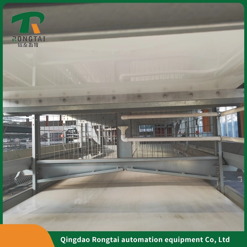 Hot Sale High quality/High cost performance  One-Stop Service Automatic Hens Layer Cage Feeding Equipment for Poultry Farms