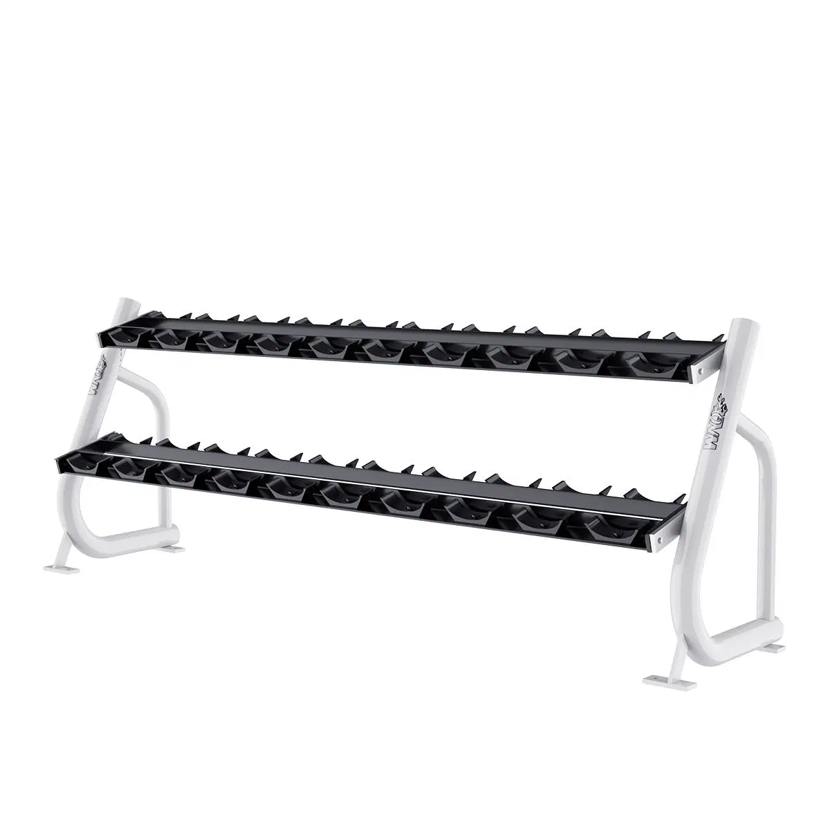 Wnq Dumbbell Rack 2 Tier Gym Use Place Dumbbells