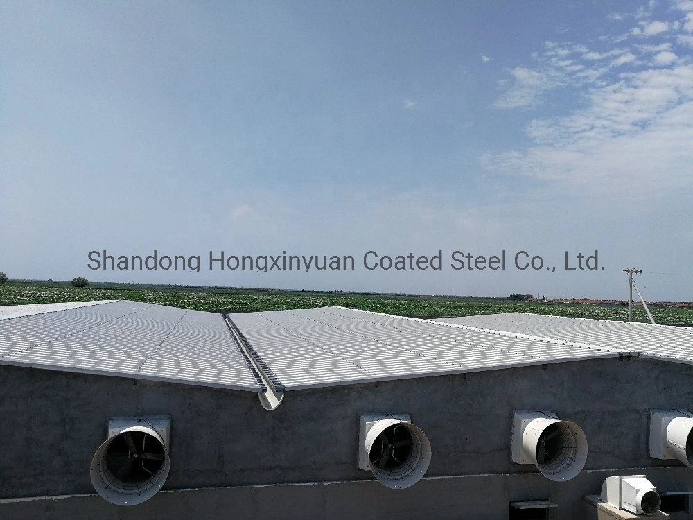 Steel Structure Chicken Poultry Shed Used in PU/PIR Sandwich Panel