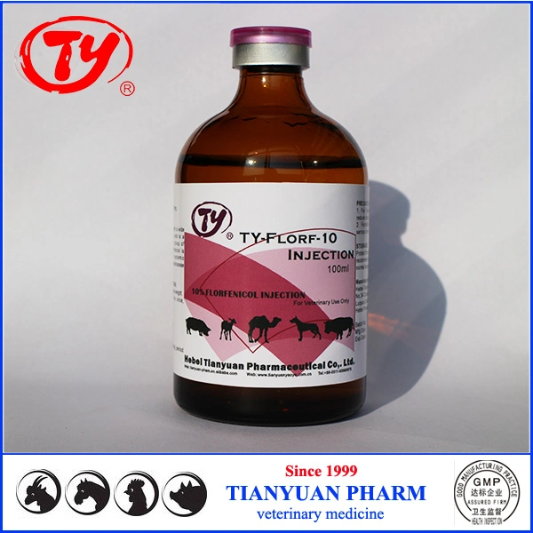 Animal Medicine Florfenicol for Horse Cattle Sheep Health Cure