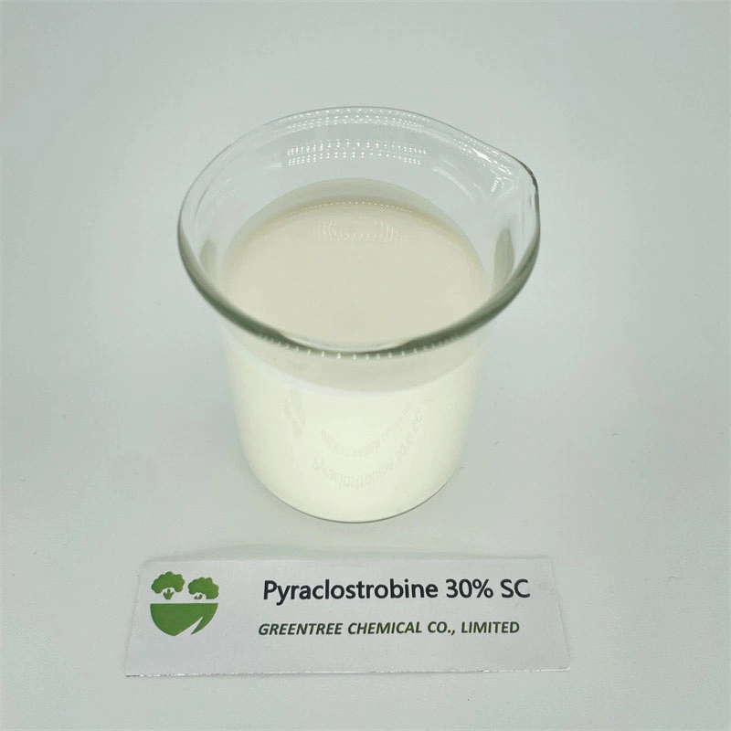 No CAS 175013-18-0 fongicide pyraclostrobine 30 30 % Sc