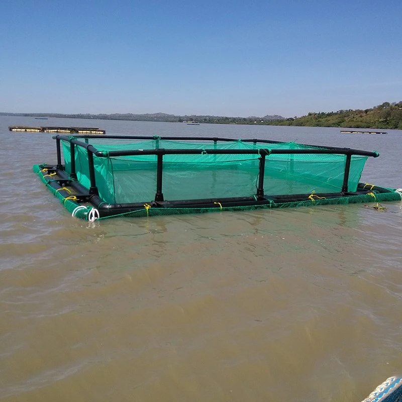 Quadratischer Fischfalle Netz-Fischfarmkäfig für Tilapia