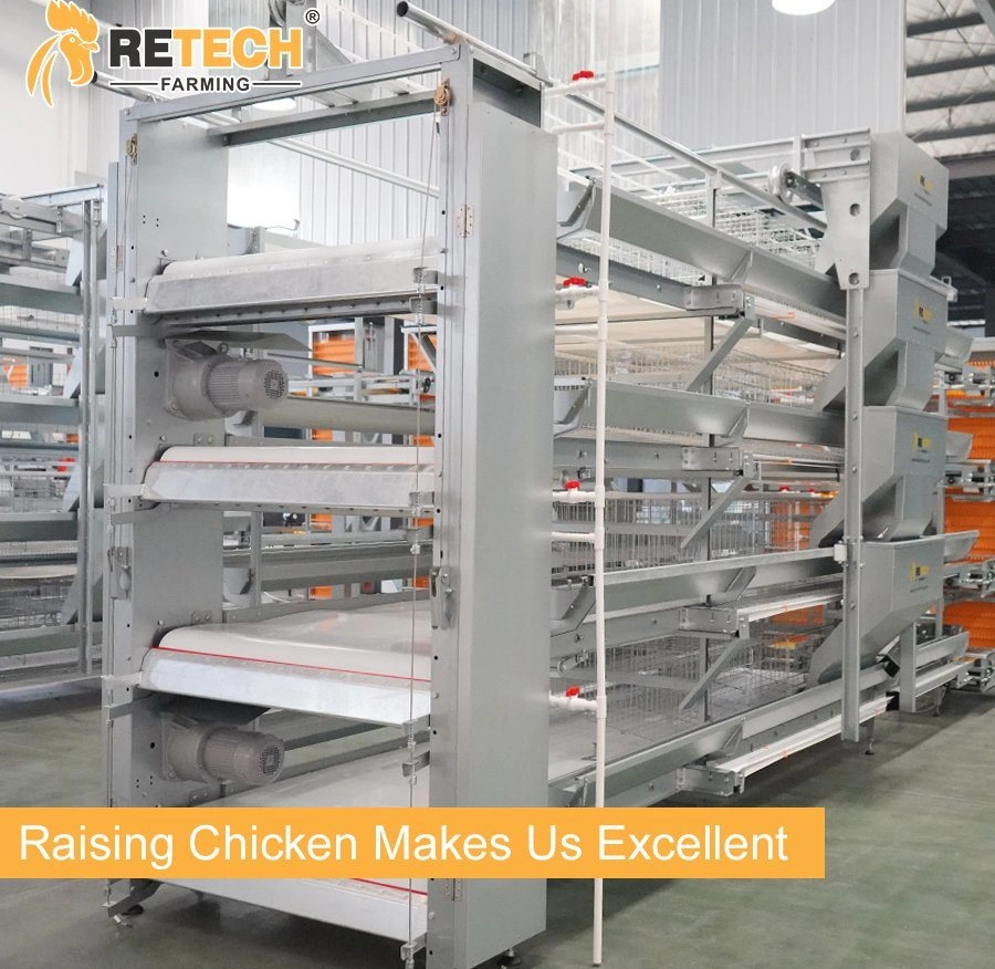 Automatic Chicken Farm Poultry Battery Cage System for Layer