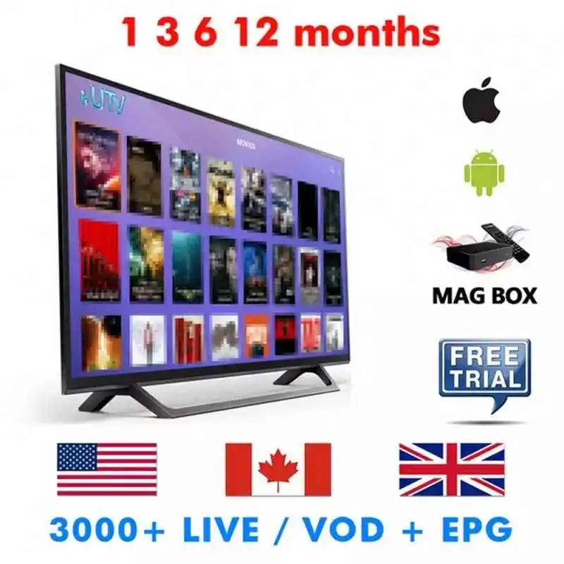 IPTV 12 meses con xxx IPTV Suscripción Código Europeo de Android Smart TV  Media Player Android Smart TV Sintonizador Accesorios - China Sups