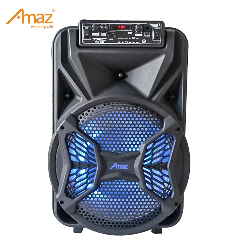 Bluetooth PA Speaker System with Wireless Microphone12 Inch Highet Portable Outdoor Karaoke Speaker