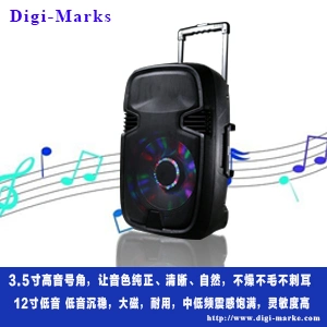 Best Seller 15 Inch 100W Waterproof Guitar Karaoke Tower Mobile Trolley Speakers with Two VHF Microphone