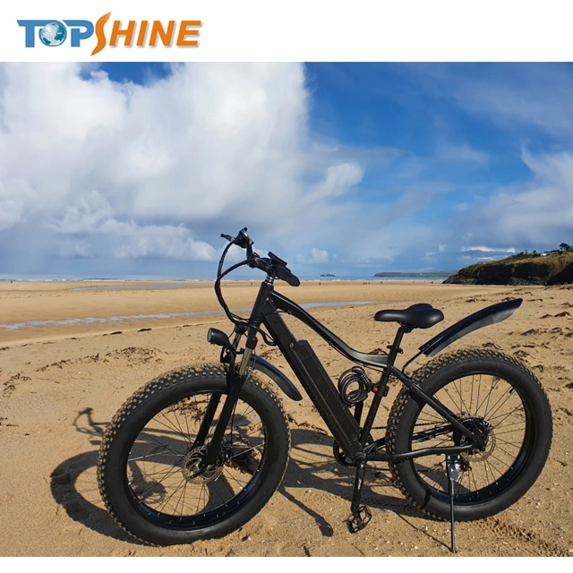 26pulgadas de tierra grasa E-Bike Beach Cruiser bicicleta eléctrica con el GPS del equipo de música