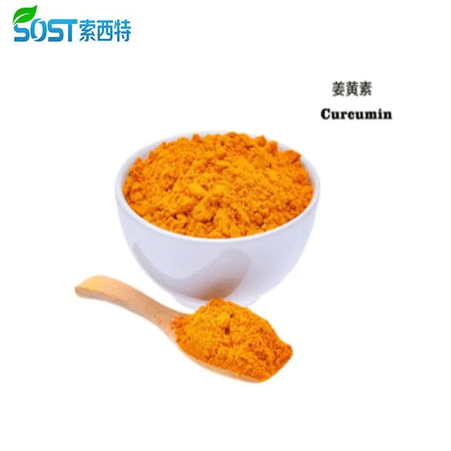 SOST China fabricante de raiz turmeric extrato 95% curcumin em pó