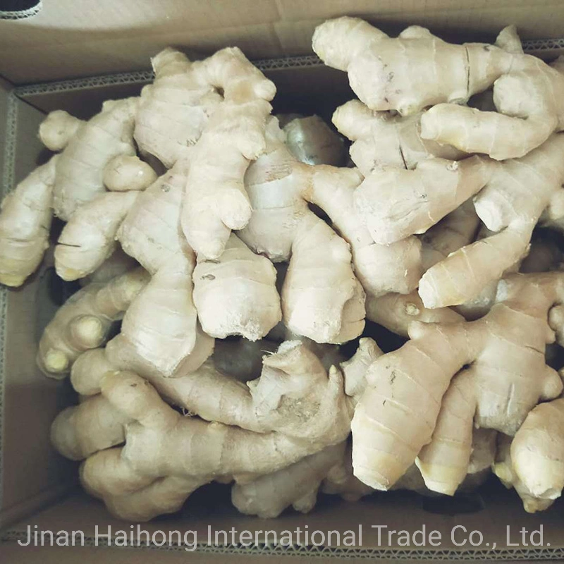 Organic Fresh Dry Ginger Price From Shandong China