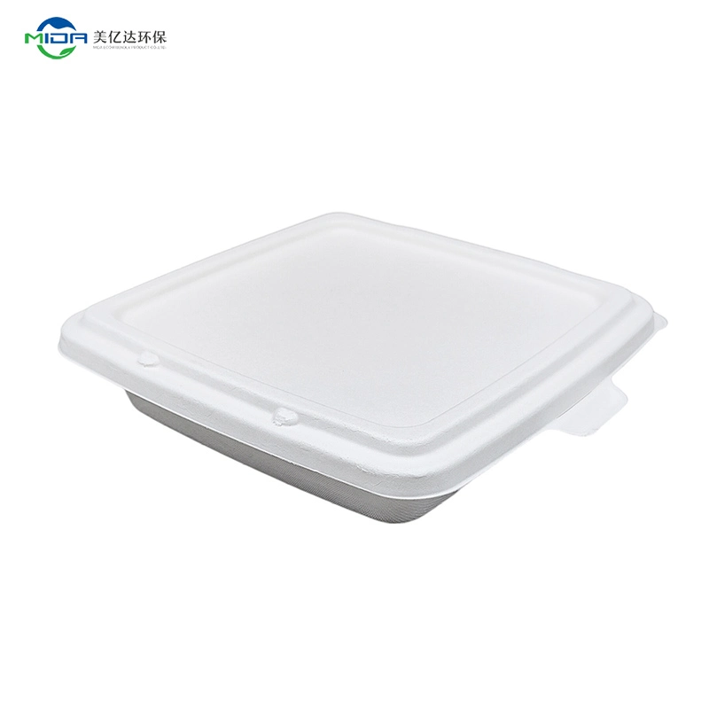 Biodegradable Sugarcane Bagasse Tays 3 Compartment Tray Used Restaurant Plates Cutlery Dinner Plate Bagasse Bowl Dinner Set for School and Children