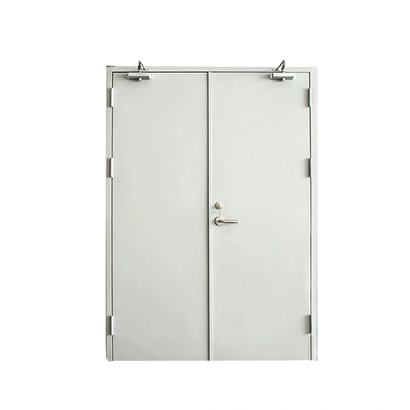 Wholesale/Supplier Exterior Entrance Safety Double Fireproof Steel Door Exit Fire Doors Fire Rated