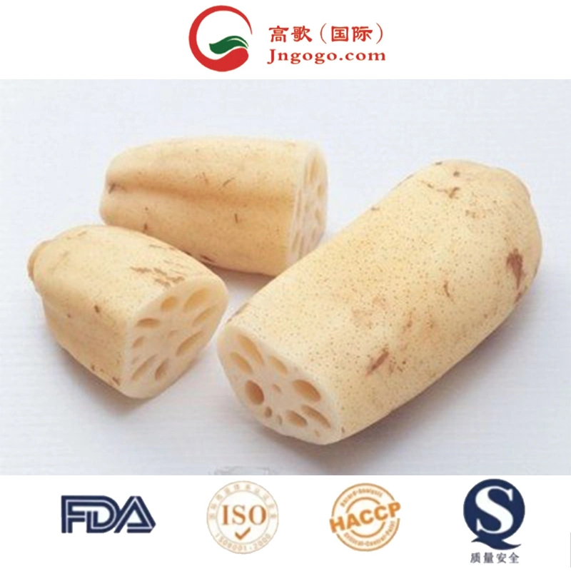 Wholesale/Supplier and Retail Dried Lotus Root Slices