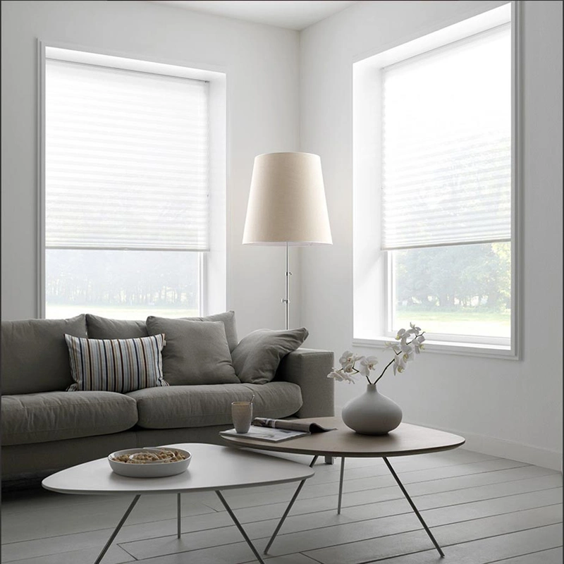 Noise-Reducing Honeycomb Blinds for a Calm and Peaceful Environment