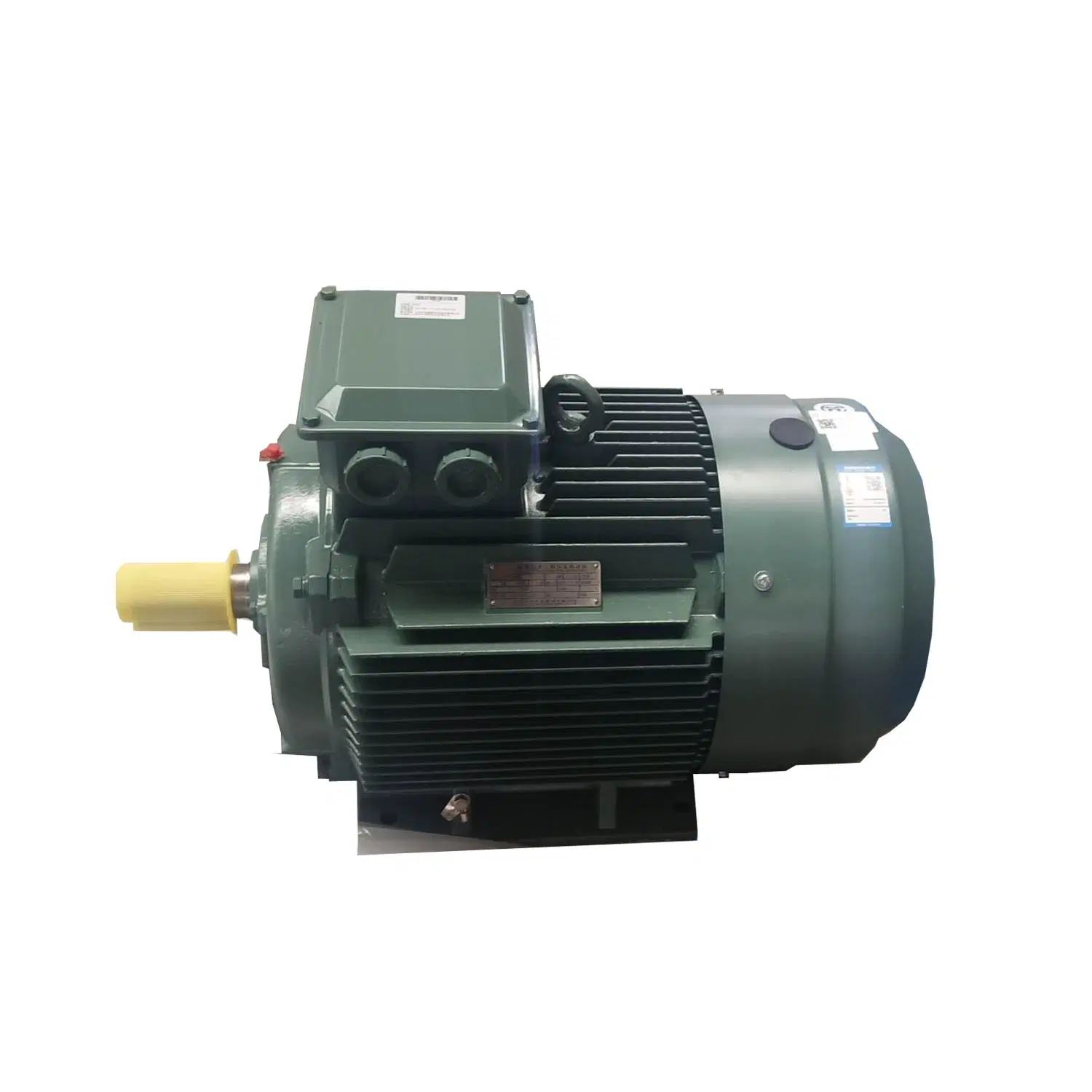 Ye3-Ie3 High Efficiency AC Motor Famous Chinese Motor Electric Motor (IE3, YE3-315)