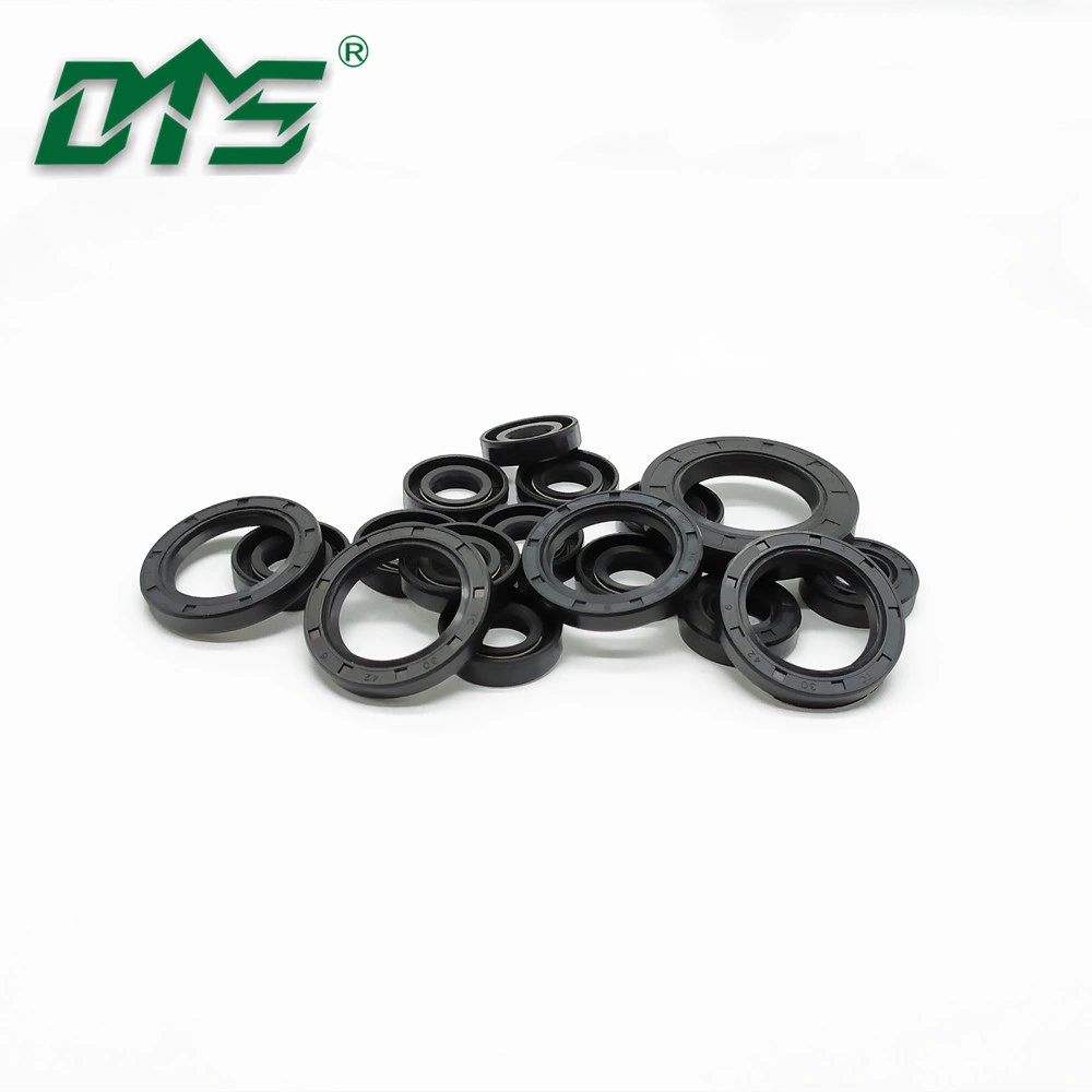 Manufacturer Double Lip Skeleton NBR FKM Silicone Tc Sc Tg Tb DC Tcv Tcn Cassette Combi Reducer Rotary Shaft Oil Seals