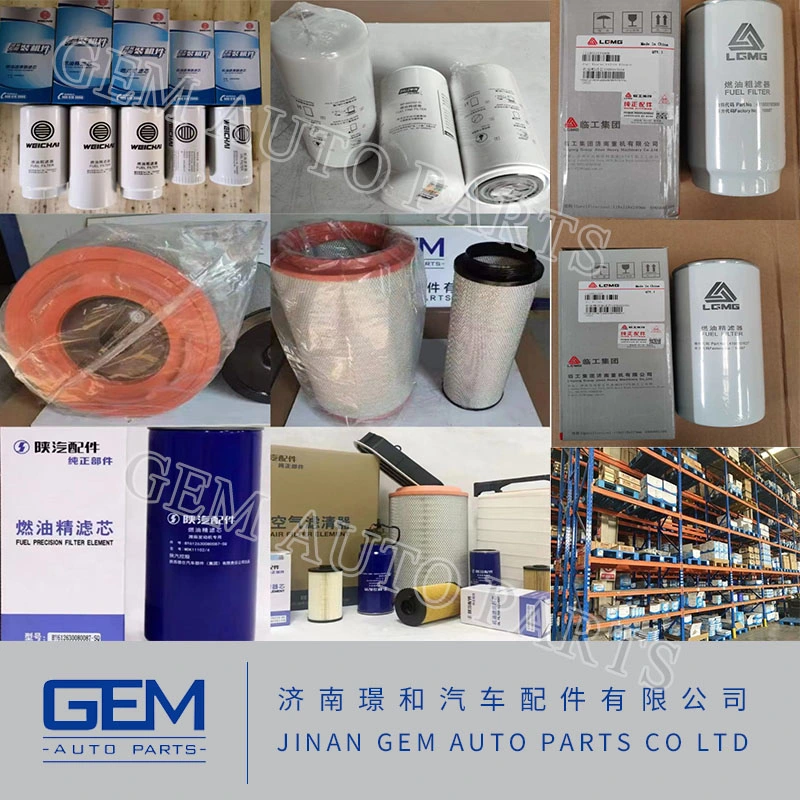 Air Filter/Oil Filter/ Fuel Filter for Lgmg Sany Sinotruk Tonly Shacman Mining Truck Weichai Engine Cmt96 Cmt105 Mt105 Truck Spare Parts