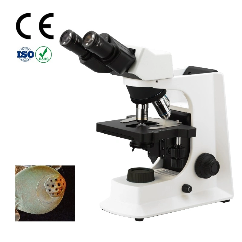 Education /Clinic Trinocular Biological Microscopes with Digital Mount