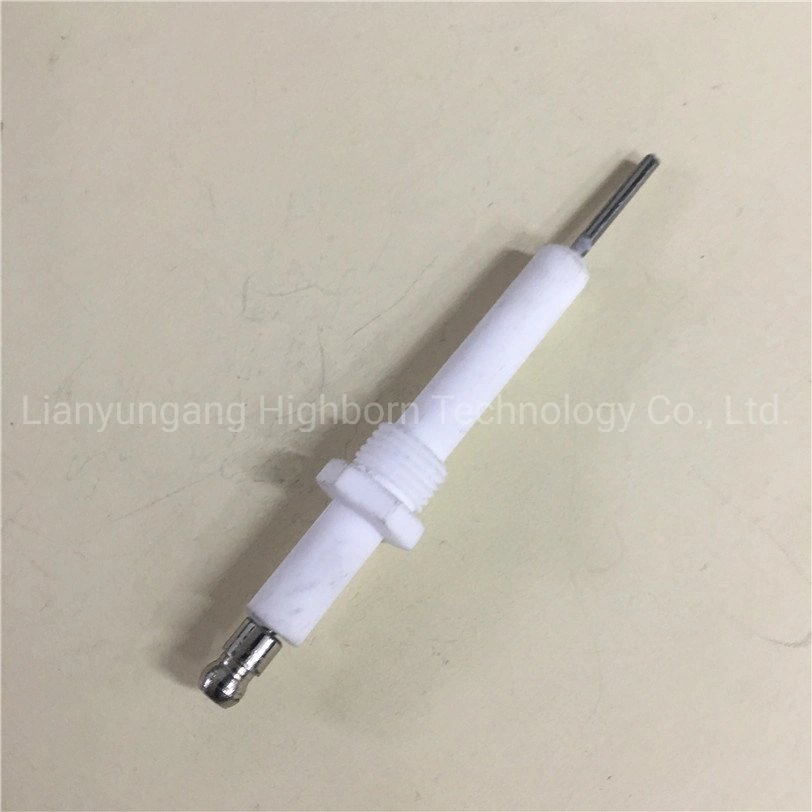 Fast Delivery Glazed 95% Alumina Al2O3 Ceramic Igniter Pin for Combustion Machine