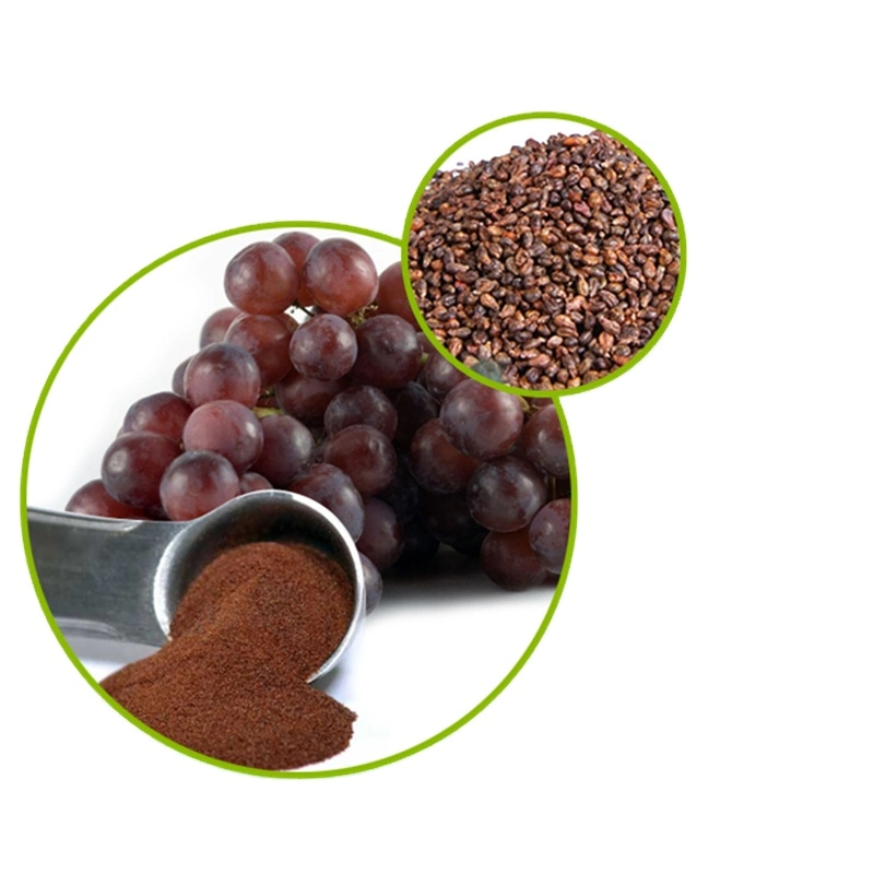 Manufacturers Natural OPC 95% Anthocyanin Grape Seed